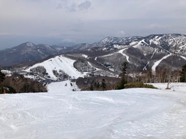 志賀高原中央エリアスキー場に投稿された画像（2022/4/23）