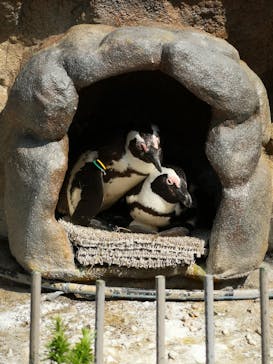 サンシャイン水族館に投稿された画像（2022/4/23）
