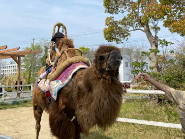 神戸どうぶつ王国に投稿された画像（2022/4/23）