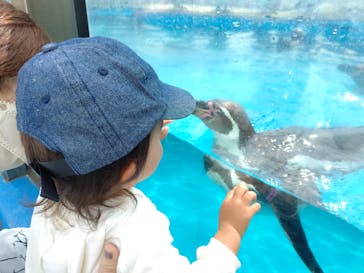 南知多ビーチランド＆南知多おもちゃ王国に投稿された画像（2022/4/23）