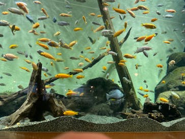 名古屋港水族館に投稿された画像（2022/4/23）