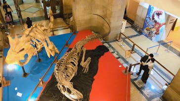 国立科学博物館　特別企画展「ポケモン化石博物館」に投稿された画像（2022/4/23）