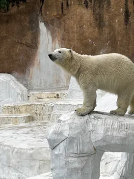天王寺動物園に投稿された画像（2022/4/23）