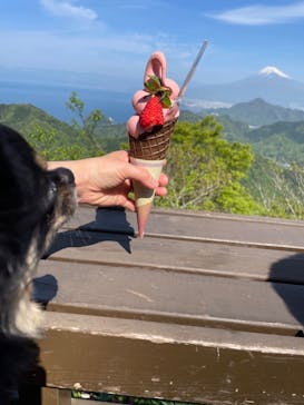 伊豆パノラマパークに投稿された画像（2022/4/23）