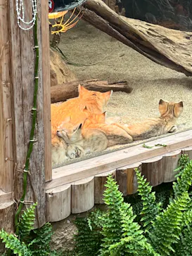 神戸どうぶつ王国に投稿された画像（2022/4/23）