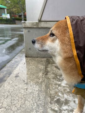 阿蘇カドリー・ドミニオンに投稿された画像（2022/4/23）