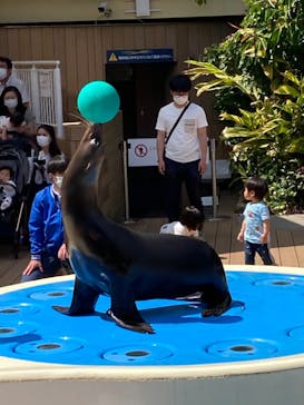 サンシャイン水族館に投稿された画像（2022/4/23）