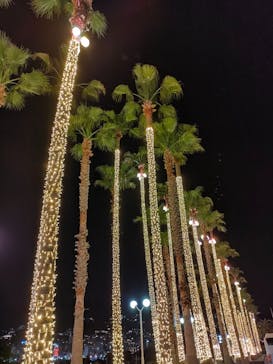 オーシャンスパ Fuuaに投稿された画像（2022/4/23）