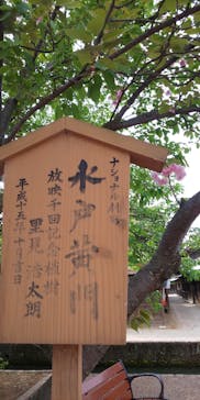 東映太秦映画村に投稿された画像（2022/4/23）