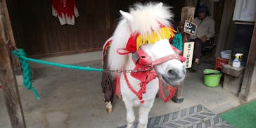 東映太秦映画村に投稿された画像（2022/4/23）