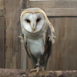 富士花鳥園に投稿された画像（2022/4/24）