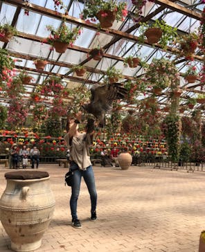 富士花鳥園に投稿された画像（2022/4/23）