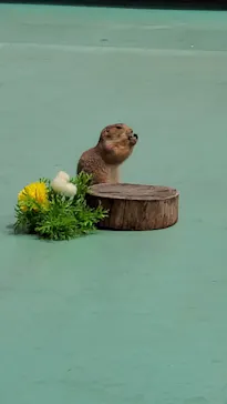 横浜・八景島シーパラダイスに投稿された画像（2022/4/24）