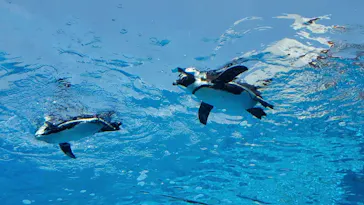 横浜・八景島シーパラダイスに投稿された画像（2022/4/24）