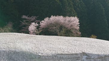 野沢温泉スキー場に投稿された画像（2022/4/24）