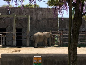東武動物公園に投稿された画像（2022/4/24）