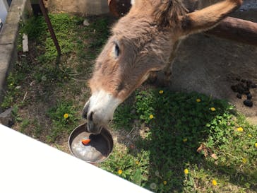 東武動物公園に投稿された画像（2022/4/24）
