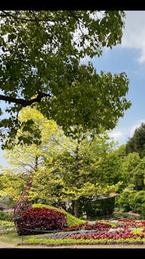 安城産業文化公園デンパークに投稿された画像（2022/4/24）