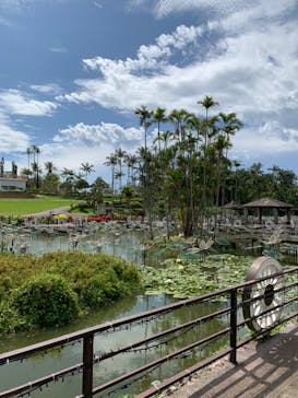 美らヤシパークオキナワ・東南植物楽園に投稿された画像（2022/4/24）