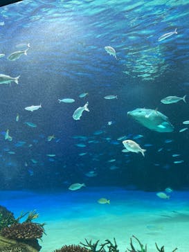 サンシャイン水族館に投稿された画像（2022/4/24）
