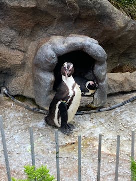 サンシャイン水族館に投稿された画像（2022/4/24）