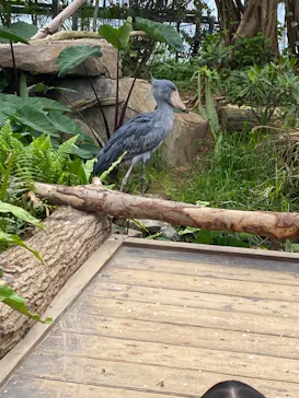 神戸どうぶつ王国に投稿された画像（2022/4/24）