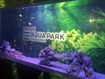 マクセル アクアパーク品川に投稿された画像（2022/4/24）