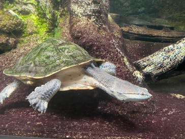サンシャイン水族館に投稿された画像（2022/4/24）