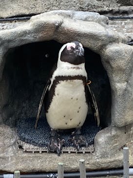サンシャイン水族館に投稿された画像（2022/4/24）