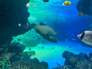 サンシャイン水族館に投稿された画像（2022/4/24）