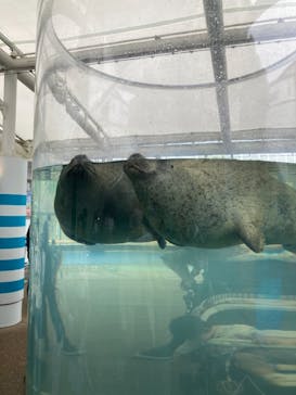 京都水族館に投稿された画像（2022/4/24）