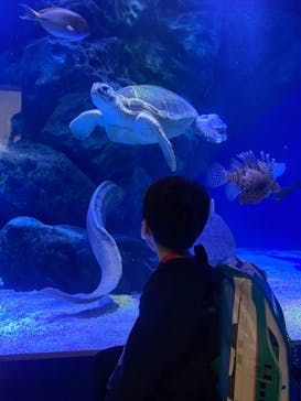 マクセル アクアパーク品川に投稿された画像（2022/4/24）