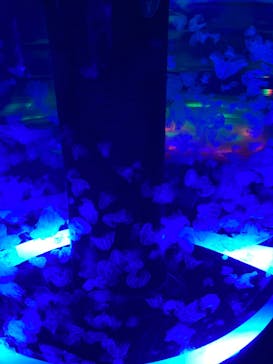 マクセル アクアパーク品川に投稿された画像（2022/4/24）