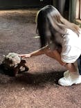 体感型動物園iZooに投稿された画像（2022/4/24）