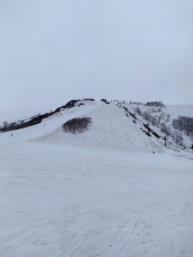 白馬八方尾根スキー場に投稿された画像（2022/4/24）