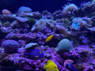 マクセル アクアパーク品川に投稿された画像（2022/4/24）