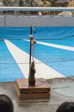 大分マリーンパレス水族館 「うみたまご」に投稿された画像（2022/4/24）