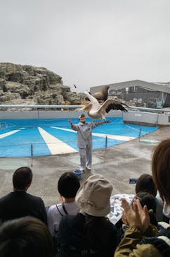 大分マリーンパレス水族館 「うみたまご」に投稿された画像（2022/4/24）