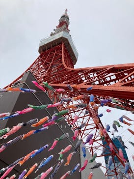 東京タワーに投稿された画像（2022/4/24）