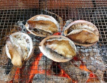 海女小屋体験施設さとうみ庵に投稿された画像（2022/4/24）