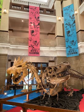 国立科学博物館　特別企画展「ポケモン化石博物館」に投稿された画像（2022/4/24）