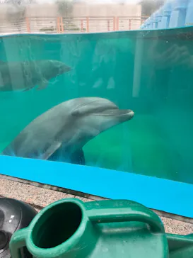 横浜・八景島シーパラダイスに投稿された画像（2022/4/24）