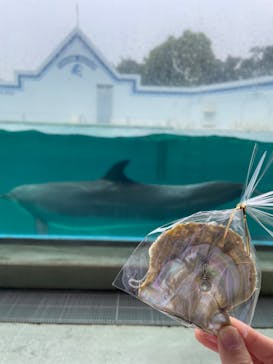 しながわ水族館に投稿された画像（2022/4/24）