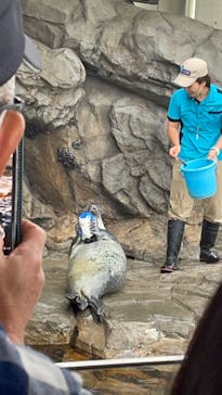 しながわ水族館に投稿された画像（2022/4/24）