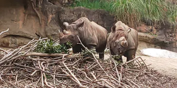 天王寺動物園に投稿された画像（2022/4/24）
