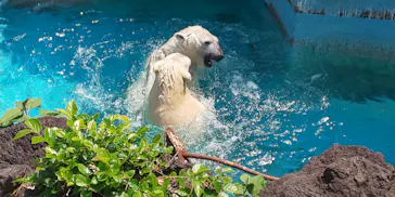 天王寺動物園に投稿された画像（2022/4/24）