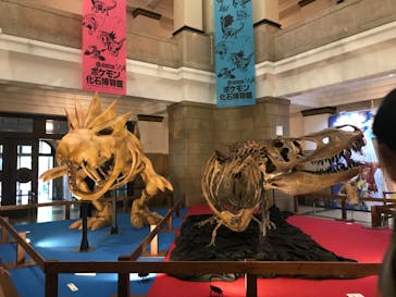 国立科学博物館　特別企画展「ポケモン化石博物館」に投稿された画像（2022/4/24）