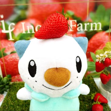 いのさんの観光農園に投稿された画像（2022/4/24）