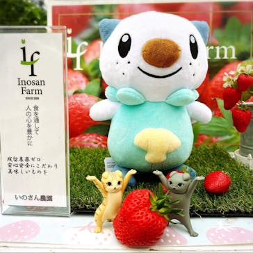 いのさんの観光農園に投稿された画像（2022/4/24）