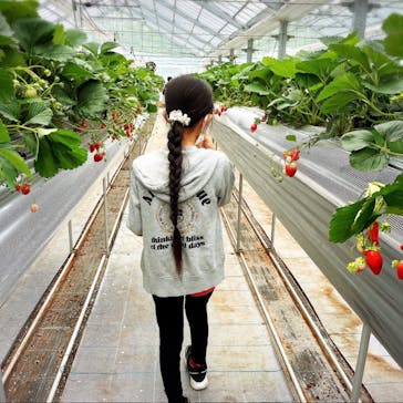 いのさんの観光農園に投稿された画像（2022/4/24）